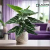 Lacers SMARAGDLINE Künstliche Taro im Topf 2er Set - 60cm Produktbild-Vorschau 3