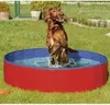 A dog is playing in a red and blue paddling pool in a grassy garden. Anteprima dell’immagine prodotto