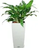 LECHUZA-Pot de plantes CUBICO Cottage 40 Granit | Pot de Voir les images du produit 19