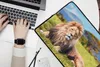 MuchoWow® Laptop Hülle 17 Zoll Laptoptasche Löwe - Savanne Produktbild-Vorschau 2