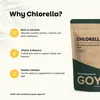 Chlorella Tabletten 500 mg Produktbild-Vorschau 5