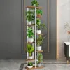 A tall, multi-tiered plant stand filled with various potted plants, set against a neutral gray wall with a decorative gold trim. Podgląd zdjęcia produktu