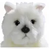 Carl Dick Westie, cucciolo di West Highland Terrier di Anteprima dell’immagine prodotto 9