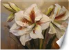 Vlies fototapete Weiße gemalte Blume 300x210 cm Feeby Beige Produktbild-Vorschau 1