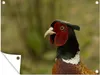 MuchoWow® Produktbild-Vorschau 1