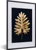 MuchoWow® MuchoWow® Gerahmtes Poster Gold - Schwarz - Blatt Produktbild-Vorschau 1