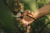 Solid L Bypass-snoeischaar voor de tuin, model P341 Productafbeelding-voorbeeld 3
