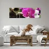 Bild auf Leinwand - Leinwandbild - Orchidee Bambus Produktbild-Vorschau 6