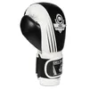 Rękawice bokserskie DBX BUSHIDO B-2v3A 10oz Podgląd zdjęcia produktu 6