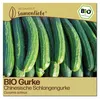 Samenliebe  Gurke Samen | Chinesische Schlangengurke - sehr Produktbild-Vorschau 1