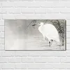 Coloray - Bild aus Glas - Glasbilder - 100 x 50 cm - Küche Produktbild-Vorschau 2