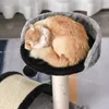 A cat sleeping on a cat tree. Anteprima dell’immagine prodotto