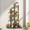 A multi-tiered plant stand with various potted plants on a light-colored floor against a white wall, with sunlight casting shadows. Náhled obrázku produktu