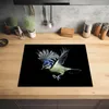 KitchenYeah© Herdabdeckplatte Blaumeise - Vogel - Schwarz , Produktbild-Vorschau 2