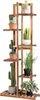 A wooden plant stand with various potted plants. Náhled obrázku produktu