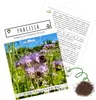 Phacelia Samen Bienenfreund (Phacelia tanacetifolia) als Produktbild-Vorschau 1