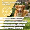 REAVET Vitamin B Komplex Hund 120 Tabs – Hochdosiert mit Produktbild-Vorschau 2