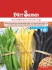 Buschbohne grün-, gelb- & blauhülsige Buschbohnemischung | Produktbild-Vorschau 1