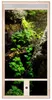 Repiterra® Hochterrarium Frontbelüftung Holzterrarium OSB Produktbild-Vorschau 2