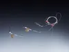 Balzer Edition Sea Butt Flunder Plattfisch Vorfach Rig Produktbild-Vorschau 3