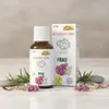 Fräulein Grün Frau alchemistische Essenz 30 ml Produktbild-Vorschau 2