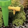 A close-up of a plant watering device dripping water onto a succulent plant. Anteprima dell’immagine prodotto