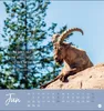 Never give up! Postkartenkalender 2027 - Durchhalten. Denn Produktbild-Vorschau 13