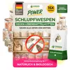 Schlupfwespen gegen Lebensmittelmotten, 15 Karten x 1 Produktbild-Vorschau 1