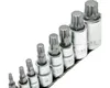 Steckschlüssel-Set mit Vielzahn XZN Bit Einsätzen WGB Produktbild-Vorschau 2