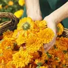 Weleda Calendula Wundschutzcreme 75ml Produktbild-Vorschau 8