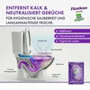 Fizzclean by Green Tornado WC Pulver | Für saubere Produktbild-Vorschau 3