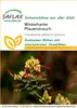 SAFLAX - Winterharter Pfauenstrauch - Caesalpinia gillesii Produktbild-Vorschau 10