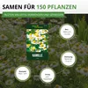 Kamille Echte Samen - Matricaria recutita - Kamillesamen - Produktbild-Vorschau 3