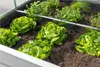 Hochbeet POWERTEC Garden, silber, langlebig, 120 x 120 x Produktbild-Vorschau 4