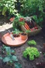 A collection of freshly harvested vegetables and gardening tools laid out on the soil in a garden. Produktbild-Vorschau