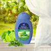 Felce Azzurra Shower Gel Mint and Lime, Sprchový gel, 250 Náhled obrázku produktu 5