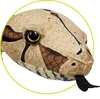 Coppenrath Verlag Boa constrictor Produktbild-Vorschau 2