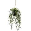 Zijdeplant Hangplant met pot Buxus kunstplant Driesprong Productafbeelding-voorbeeld 1