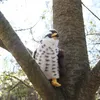 Falco di peluche 23 cm ECO-FRIENDLY Anteprima dell’immagine prodotto 4