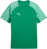 Hemden Puma TeamLIGA26 65972105 Productafbeelding-voorbeeld 1