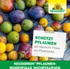 Neudorff Neudomon PflaumenmadenFalle Nachfüllpack 1 Stk. Produktbild-Vorschau 6
