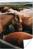 MuchoWow® Poster Pferde - Tiere - Spiel 120x180 cm - Produktbild-Vorschau 1