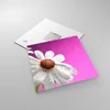 Bilder auf glas - Blume frühling garten - 30x30cm - Produktbild-Vorschau 2