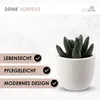 Künstliche Pflanzen Mini 4er Set Dekoration Kunstpflanzen Produktbild-Vorschau 2