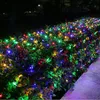 A string of colorful lights is wrapped around bushes at night. Voir les images du produit