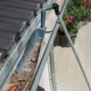 WENKO Dachrinnenschaufel Maxi 10 x 250 x 8 cm Produktbild-Vorschau 13