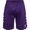hummel Core XK Poly Pantaloncini Herren acai L Anteprima dell’immagine prodotto 2