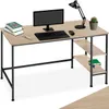 A desk with a computer, lamp, books, and a cactus. Produktbild-Vorschau