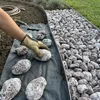 Verlegen von großen rot-weiß gemaserten Kieselsteinen auf Unkrautvlies im Garten Produktbild-Vorschau