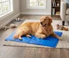 KANDONEX Kühlmatte Hund & Katze – Selbstkühlende Produktbild-Vorschau 6
